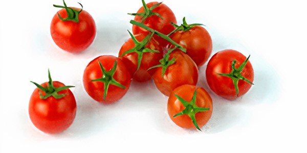 تصویر 5 از فروش گوجه فرنگی ریز گیلاسی + قیمت خرید به صرفه